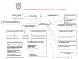 Структура и органы управления образовательной организацией